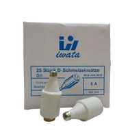 6A 10A Stone Fuse Home Electrical Fuse Ceramic Fuse Britmax Fuse Iwata/