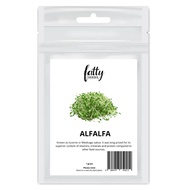 Gardening Seeds Fatty Seeds – Alfalfa Vegetable Seeds