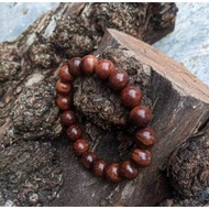 BURL AMBOYNA SEA STIGI BRACELET