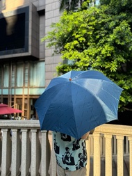 中古 未使用品 Valentino Garavani 字母標誌 雨傘 遮骨遮 日本製