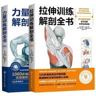 2020 Full Color Stretching Training Anatomy Book Strength Training Anatomy Book 2022