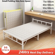 [24Hrs-ship out]Foldable Bed 2-fold Bed Premium Foldable Single Bed/Single Bed Frame/Portable Bed/Folding Bed/Day bed