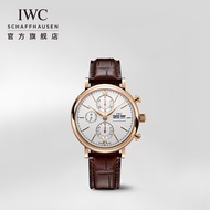 Iwc IWC IWC Botao Fino Series Chronograph Mechanical Watch Swiss Watch Male IW391025