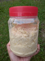 TEMPOYAK/fermented durian-1kg (100%isi durian) Masam manis