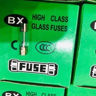 10 Pcs Glass Fuse 5x20mm 5A 250V
