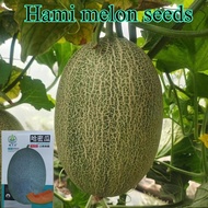 Hami melon seeds / Cantaloupe seeds 哈密瓜种子 30pcs