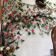 Beautiful Rose Vines, 1m7 Long Vines - Artificial Silk Flowers, Decorative Fake Vines
