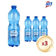 聖碧濤 意大利天然有氣礦泉水 - 3x 500毫升 有氣(平行進口)