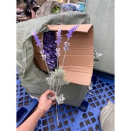 Fake flowers Fake lavender branches - fake lavender branches covered with powder for beautiful decor