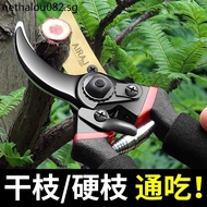 Pruning Shears Branch Shears Garden Shears Pruning Branch Shears Fruit Tree Gardening Shears Flower 