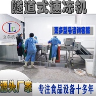 Quick-Frozen Food Preparation Kit Equipment Dumpling Tunnel-Type Quick-Frozen Assembly Line Prefabricated Dish Tunnel-Ty