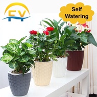 Self Watering Pot Viral