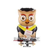 Jumbo Graduation Owl Foil Balloon / Graduation Balloon / Graduation Balloon