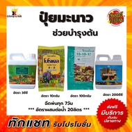 ปุ๋ย ปุ๋ยมะนาว ช่วยบำรุงต้น ปุ๋ยกิฟฟารีน โบโรแคล เกรทกรีน ปุ๋ยเกล็ด 15-15-15 เทอโบไทโอแม็ก กิฟฟารีนข