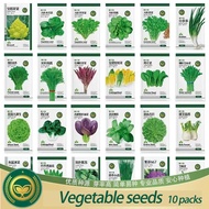 Vegetable seeds (10 pack set) 蔬菜种子   四季播种 非常容易种植are easy to plant in all seasons, including lettuce,