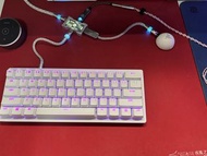 Razer huntsman v3 pro mini 半年貨仔