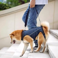 寵物輔助背帶 黃色 大碼 高齡犬 輔助助力帶 受傷或老狗適用