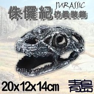 Y青島水族NS-19台灣Oracle甲骨文-侏儸紀 恐龍 骨頭 化石 兩棲爬蟲陸龜 躲藏棲息=巨型蜥蜴頭骨