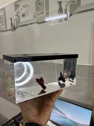 Bể Cá Mini MICA Đài loan trong suốt Kích thước 10cm x 10cm x10cm 20cm x 10cm x 10cm.