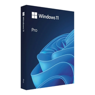 Windows 11 Pro FPP USB FULL BOX HAV-00163 ส่งฟรี