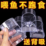 Feeding Transparent Wall-Mounted Feeding Tube Small Feeding Tube Acrylic Small Feeding Transparent
