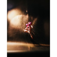 GBC Gong Fang Model Kit hg 1/144 Trans Am Exia Gundam