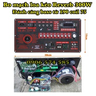Bo Mạch Loa Kéo Nguồn Xuyến DSP300 đánh Bass 4 tấc 40 đôi 5 Tấc 50 đơn Mạnh mẽ  tối đa coil 75 cs 30