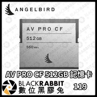 [ANGELBIRD Angel Bird AV PRO CF 512GB Memory Card] Card 512GB Digital Vinyl Rabbit