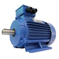 EleDelta 3KW/4HP/415V/50Hz/B3 three phase induction motor