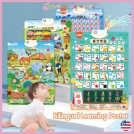 Payoe Bilingual Educational Wall Chart for Kids Early Learning Sound Wall Poster Kid Learning ABC Nu