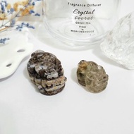 海洋碧玉貔貅/四季幽靈貔貅