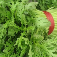 FAMILIFE (1000 seeds) Green Leafy Colewort Arugula Vegetable Seeds/Edible Rocket Arugula Seeds Only