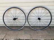 Campagnolo calima G3編法 700c 輪組 campy 系統