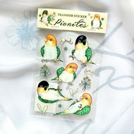 轉印貼紙 / 凱克鸚鵡圖鑑水晶轉印貼紙