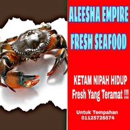 Ketam Nipah Hidup Liar