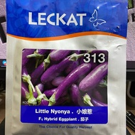 Benih Terung Mini LECKAT 313 LITTLE NYONYA Hibrid F1 (10gm)