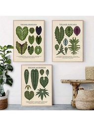 3 Piezas De Pinturas De Lienzos De Plantas De Follaje: Anthurium, Colocasia Y Alocasia - Arte De Pared Sin Marco Para Decoración Elegante Del Hogar De La Sala De Estar