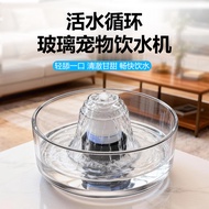 Pet Water Dispenser Glass Fountain Water Circulation Filter Cat Water Dispenser Puppy Open Drinking 