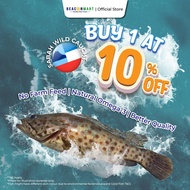 [Beacon Mart] Fresh Frozen Grouper Whole Fish | Wild Caught Sabah | Gutted | Ikan Kerapu Segar 石斑鱼 |
