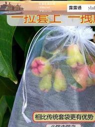 現貨：水果套袋防鳥防蟲專用網袋葡萄無花果枇杷芒果蘋果袋草莓保護袋子