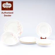 Vantage 9 Pcs Premium Porcelain Dinner Set / Dinner Plate / Soup Plate / Rice Bowl / Dining / Dinner