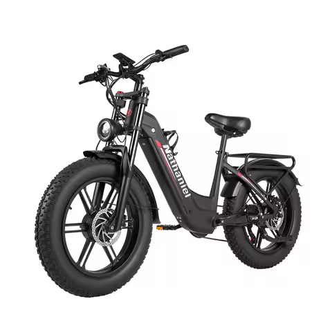 Nathaniel SYR08 Electric Bicycle 2000W Motor 48V 20Ah Battery electric bike 50km/h 20 Inch Tire Adul