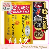 Hirosaki University-Developed Undenatured Proteoglycan and Type II Collagen Supplement for Knee Join