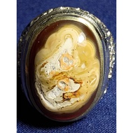 Nunggal Stone Coralnatural, CAP JI SHIO SERIES, DOG Nunggal Coral Stone/, CAP JI SHIO SERIES, DOG