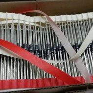 Diode 1N4007
