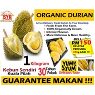 Durian Musang King 1KG Durian Frozen D24 Durian Khawin 1KG Durian Cendol 1KG Durian Tempoyak 三十年榴莲 3