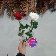 bunga mawar asli/bunga mawar satuan 🤳