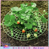 pe Plant Stand Multi-use Strong Construction Plastic Garden Plant Stand for Home