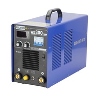 Ruiling WS-300A Portable Inverter DC Stainless Steel Welding Machine Argon Arc Welding Dual-Use Weld