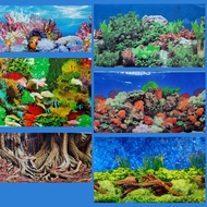 Aquarium View Image 12 Inches Or 30 Cm Tall.aquarium Poster There Are 2 Pictures On The Back Of The 